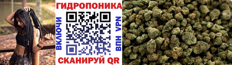 Наркотические вещества Луза Cocaine Мефедрон Галлюциногенные грибы Марихуана Гашиш