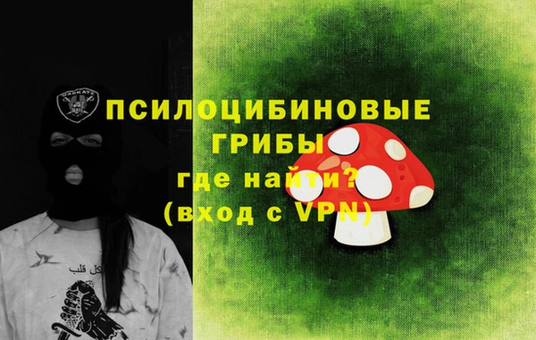 PSILOCYBIN Волоколамск