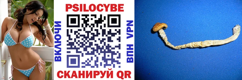 купить сайты Луза Псилоцибиновые грибы Magic Shrooms