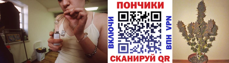 продажа наркотиков  Луза  Каннабис Amnesia 